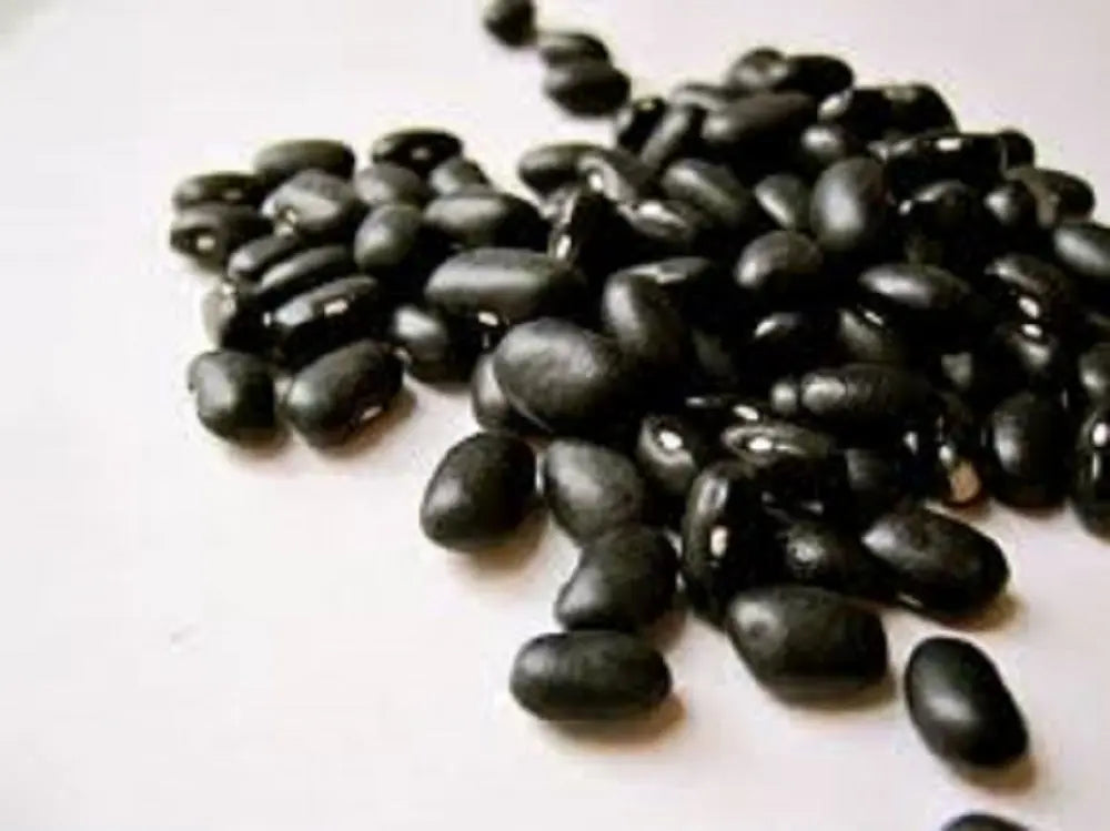 Bagley Farm's Organic Black Beans Certified Organic - Bagley Farm's