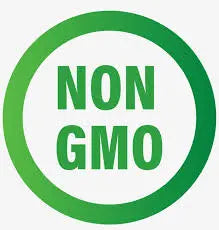 Bagley Farm's Organic Pinto Beans Certified Organic - Bagley Farm's