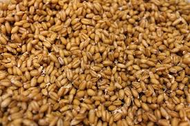 Bagley Farm's Organic Sprouted Spelt Flour Certified Organic - Bagley Farm's