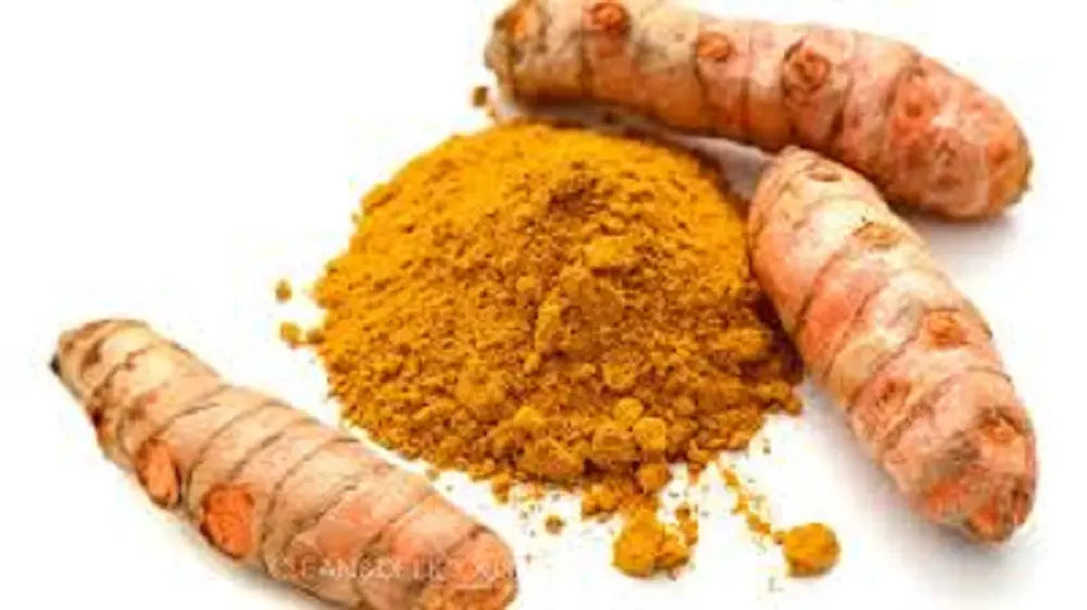 Bagley Farm's Organic Turmeric Ground Spice 2 oz - Bagley Farm's