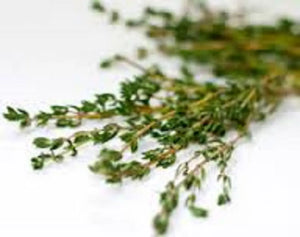 Bagley Farm's Thyme, Dried Leaves 1 oz - Bagley Farm's
