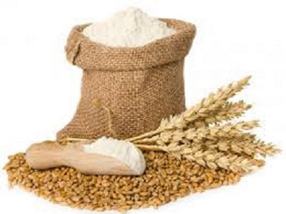 Bagley Farm's Organic Artisan Bread Flour Certified Organic Unenriched