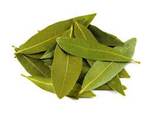 Organic Bay Leaf, Whole Spice .50 oz - Bagley Farm's