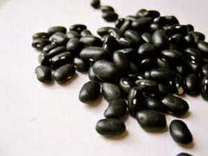 Bagley Farm's Organic Black Beans Certified Organic